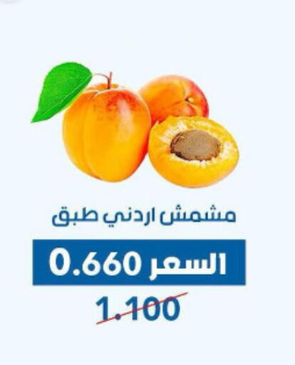 available at Dahiyat Abdullah Al Salem and Mansourieh Cooperative Society in Kuwait - Jahra Governorate