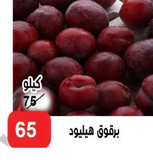 available at الدنيا بخير in Egypt - القاهرة