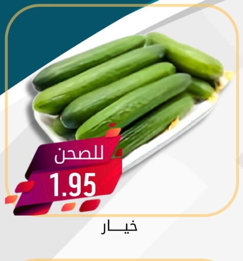 Cucumber available at Joule Market in KSA, Saudi Arabia, Saudi - Al Khobar