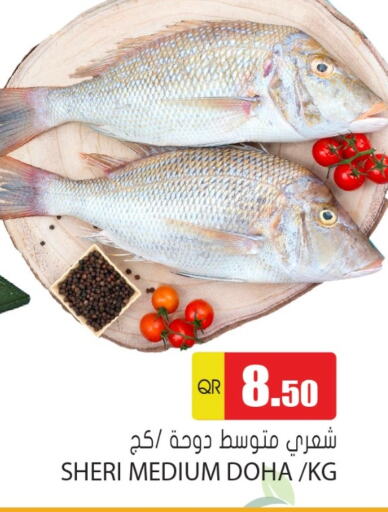 الأسماك الطازجة in جراند هايبرماركت, قطر Offers - قطر available at جراند هايبرماركت in قطر - الشحانية