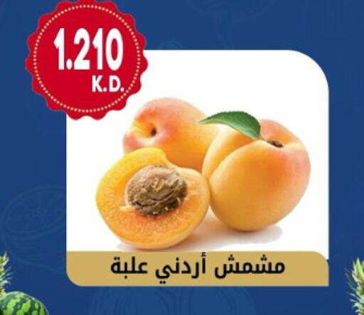 available at جمعية هدية التعاونية in الكويت - محافظة الأحمدي