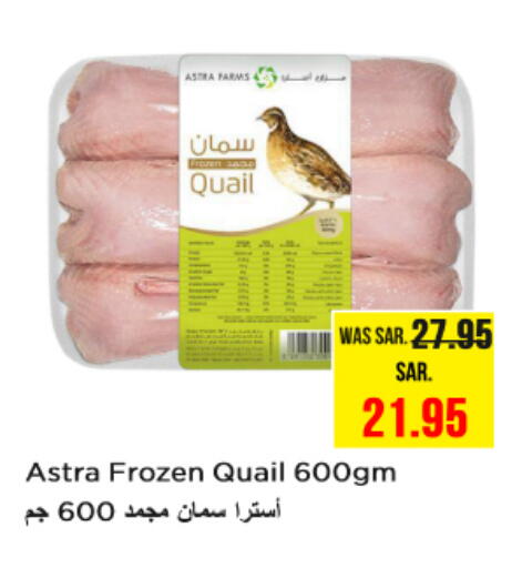 دجاج in نستو, المملكة العربية السعودية Offers - المملكة العربية السعودية available at نستو in مملكة العربية السعودية, السعودية, سعودية - بريدة