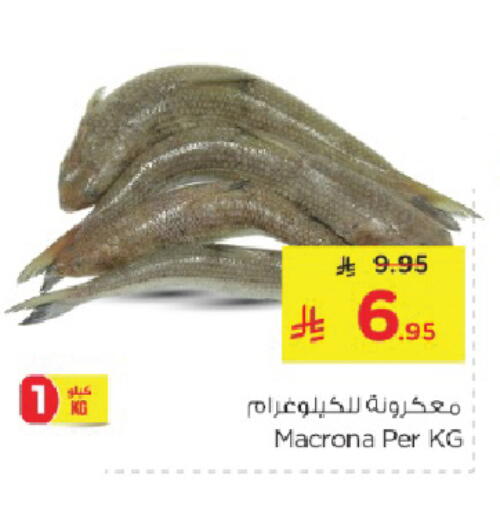 available at نستو in مملكة العربية السعودية, السعودية, سعودية - الخبر‎