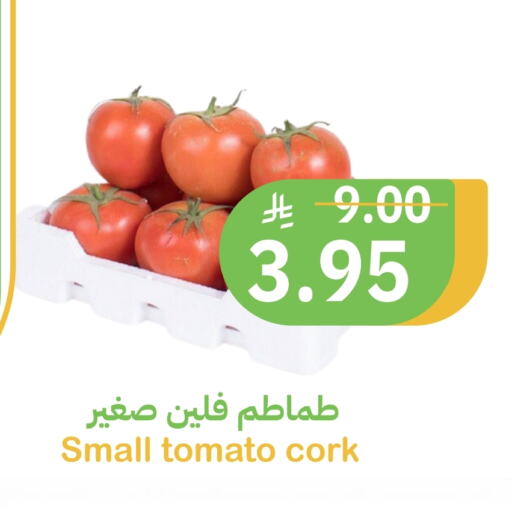 الخضروات الطازجة in أسواق قاطبة, المملكة العربية السعودية Offers - المملكة العربية السعودية طماطم available at أسواق قاطبة in مملكة العربية السعودية, السعودية, سعودية - بريدة