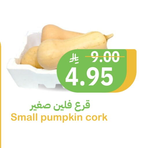 الخضروات الطازجة in أسواق قاطبة, المملكة العربية السعودية Offers - المملكة العربية السعودية Pumpkin available at أسواق قاطبة in مملكة العربية السعودية, السعودية, سعودية - بريدة