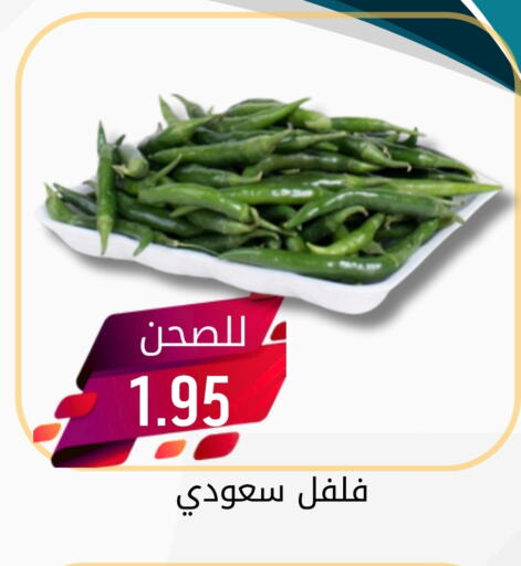 Chilli / Capsicum available at Joule Market in KSA, Saudi Arabia, Saudi - Al Khobar