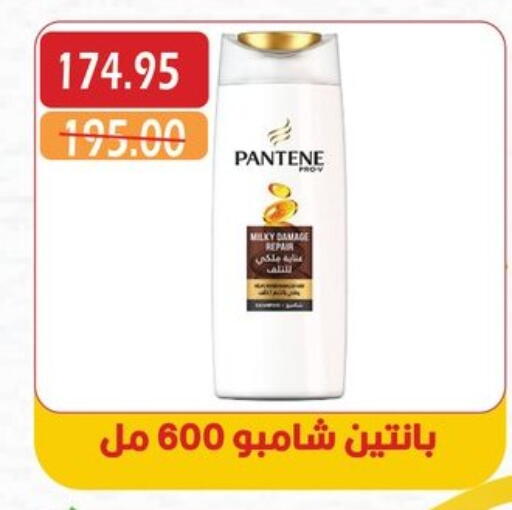 بنتين شامبو / بلسم available at بشاير هايبرماركت in Egypt - القاهرة