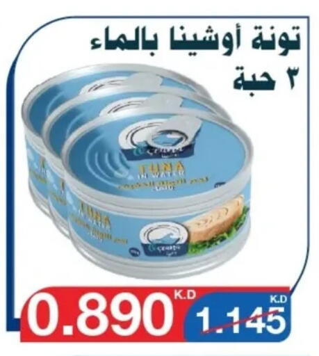 تونة - معلب available at جمعية اليرموك التعاونية in الكويت - مدينة الكويت