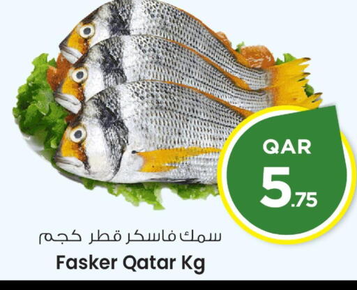 available at Mark & Save  in Qatar - Doha