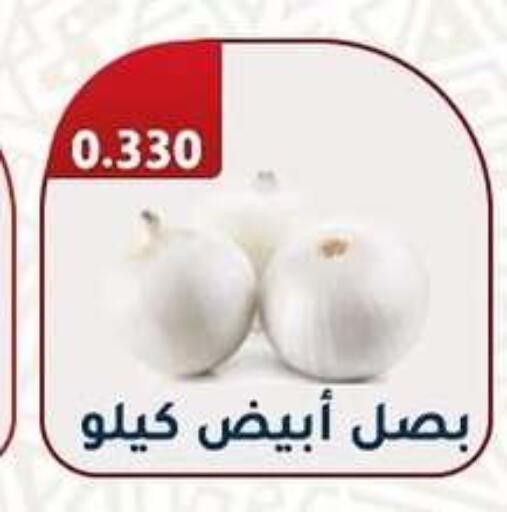Onion available at Al Fahaheel Co - Op Society in Kuwait - Kuwait City