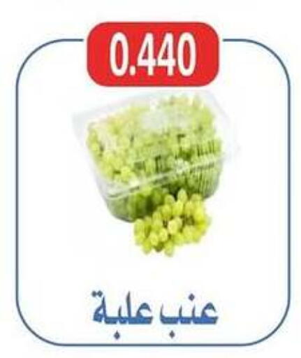 فاكهة طازجة in جمعية شمال غرب الصليبيخات, الكويت Offers - الكويت available at جمعية شمال غرب الصليبيخات in الكويت - محافظة الجهراء