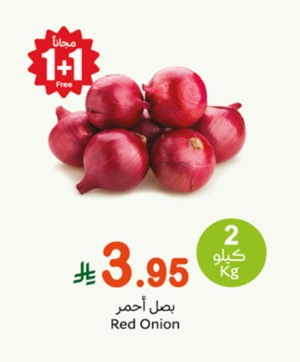 Fresh Vegetables in Othaim Markets, Saudi Arabia Offers - Saudi Arabia Onion available at Othaim Markets in KSA, Saudi Arabia, Saudi - Riyadh