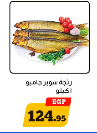 الأسماك الطازجة in أولاد رجب, Egypt Offers - Egypt available at أولاد رجب in Egypt - القاهرة