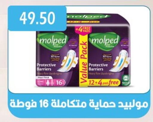 النظافة الشخصية النسائية in بشاير هايبرماركت, Egypt Offers - Egypt available at بشاير هايبرماركت in Egypt - القاهرة