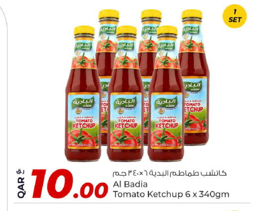كاتشب الطماطم available at روابي هايبرماركت in قطر - الدوحة