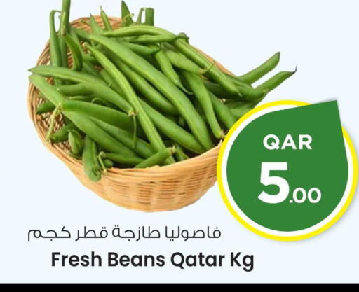 Fresh Vegetables in Mark & Save , Qatar Offers - Qatar Beans from Qatar available at Mark & Save in Qatar - Al-Shahaniya