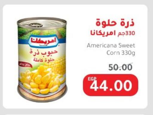 Canned & Packeted in Elhakim market , Egypt Offers - Egypt AMERICANA available at Elhakim market in Egypt - Cairo