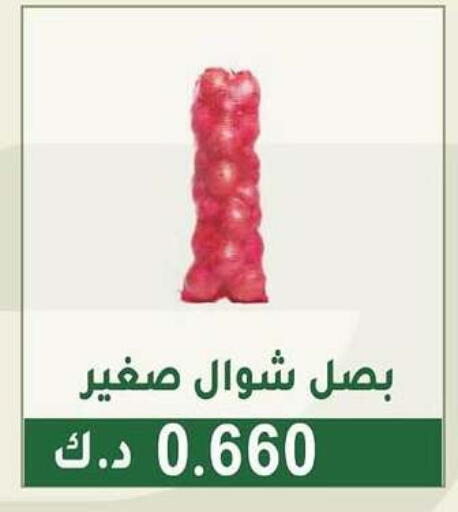 available at جمعية غرناطة التعاونية in الكويت - محافظة الجهراء