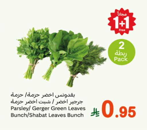 Fresh Vegetables in Othaim Markets, Saudi Arabia Offers - Saudi Arabia Parsley available at Othaim Markets in KSA, Saudi Arabia, Saudi - Khafji