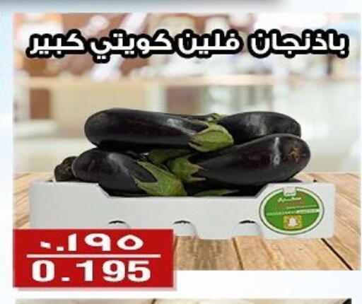 Fresh Vegetables in Al Fintass Cooperative Society , Kuwait Offers - Kuwait available at Al Fintass Cooperative Society in Kuwait - Kuwait City