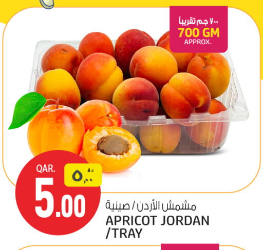 Apricot from Jordan available at كنز ميني مارت in قطر - الوكرة