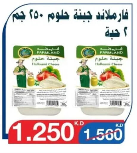 Cheese & Cream in Al Yarmouk Cooperative Society, Kuwait Offers - Kuwait Halloumi available at Al Yarmouk Cooperative Society in Kuwait - Kuwait City