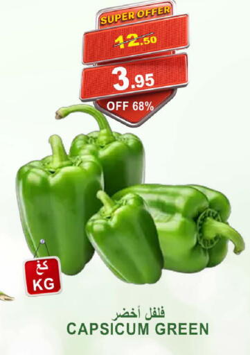 Chilli / Capsicum available at Khair Beladi Market in KSA, Saudi Arabia, Saudi - Yanbu