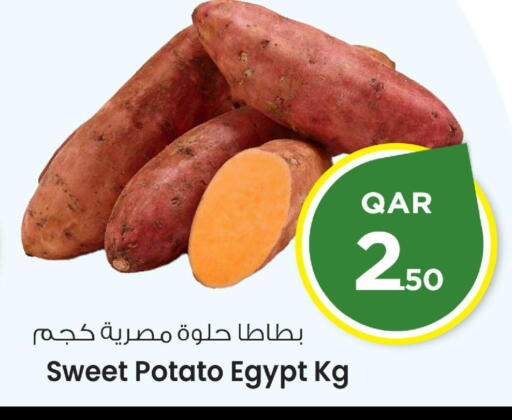 Sweet Potato from Egypt available at Mark & Save  in Qatar - Al-Shahaniya