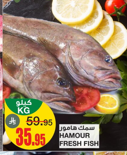 available at سـبـار in مملكة العربية السعودية, السعودية, سعودية - الرياض