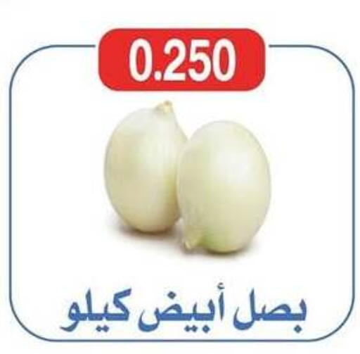 available at جمعية شمال غرب الصليبيخات in الكويت - محافظة الجهراء