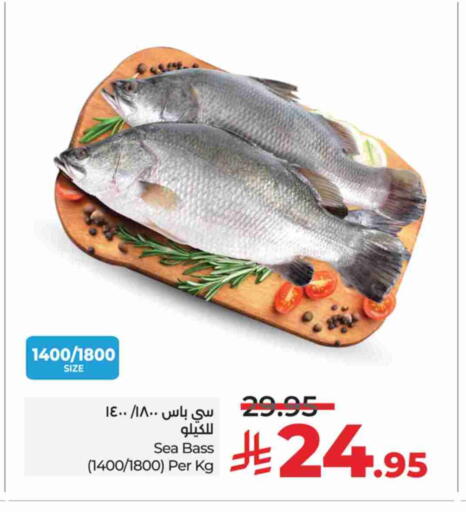 Fresh Fish in LULU Hypermarket, Saudi Arabia Offers - Saudi Arabia available at LULU Hypermarket in KSA, Saudi Arabia, Saudi - Mecca
