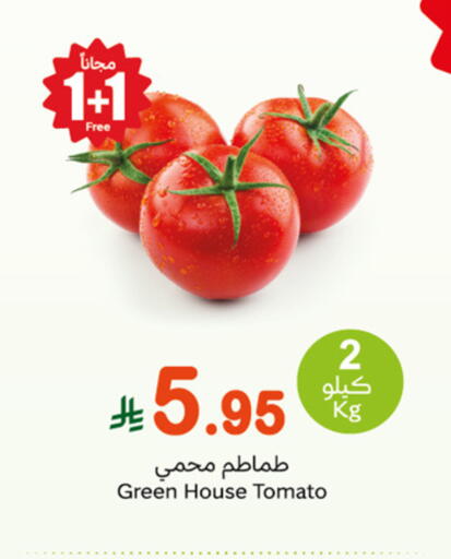Fresh Vegetables in Othaim Markets, Saudi Arabia Offers - Saudi Arabia Tomato available at Othaim Markets in KSA, Saudi Arabia, Saudi - Riyadh