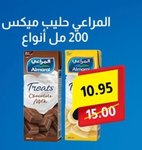 Milk & Laban in Bashayer hypermarket, Egypt Offers - Egypt ALMARAI Flavoured Milk available at Bashayer hypermarket in Egypt - Cairo