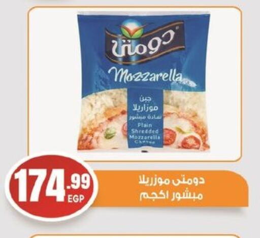 DOMTY Mozzarella available at El mhallawy Sons in Egypt - Cairo