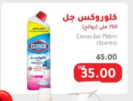 Cleaning in Elhakim market , Egypt Offers - Egypt CLOROX General Cleaner available at Elhakim market in Egypt - Cairo