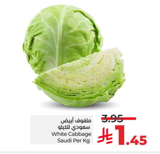 Cabbage from Saudi Arabia available at LULU Hypermarket in KSA, Saudi Arabia, Saudi - Jeddah