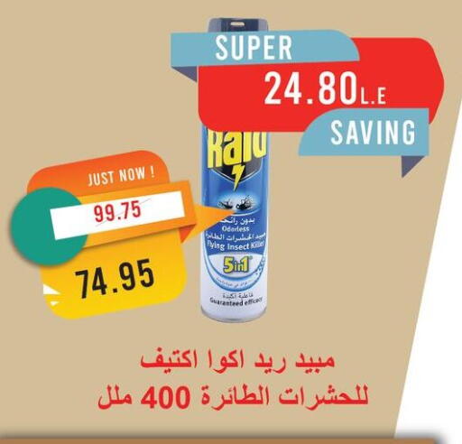 Insect Repellent in Metro Market , Egypt Offers - Egypt RAID available at Metro Market in Egypt - Cairo