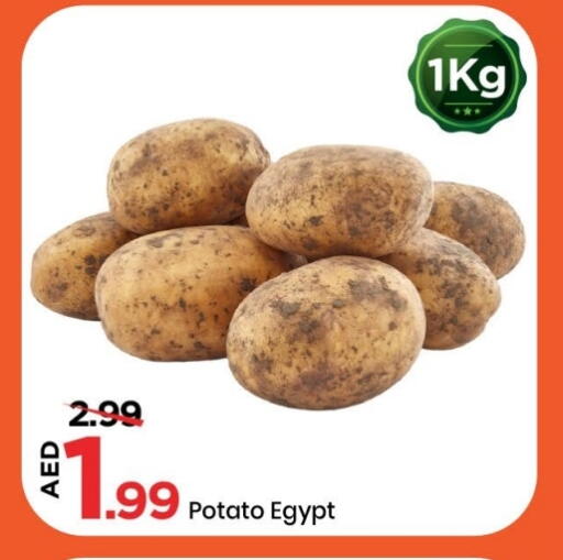 Potato from Egypt available at Mark & Save in UAE - Sharjah / Ajman