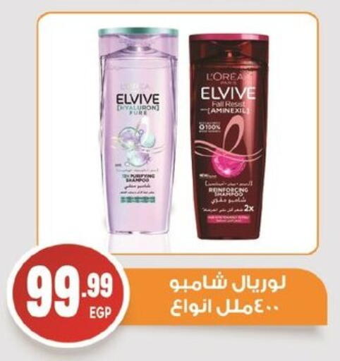لوريل شامبو / بلسم available at أولاد المحاوى in Egypt - القاهرة