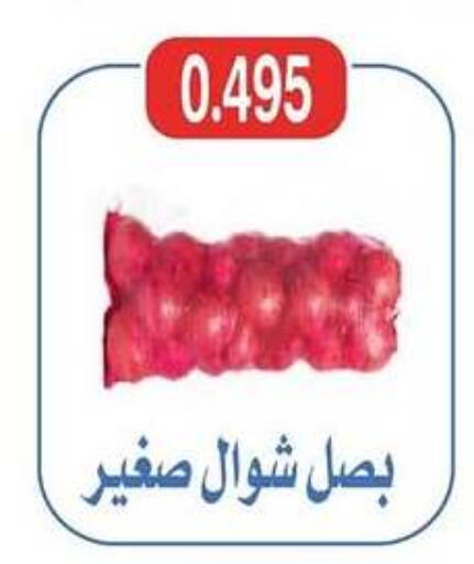 available at جمعية شمال غرب الصليبيخات in الكويت - محافظة الجهراء