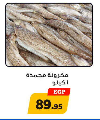الأسماك الطازجة in أولاد رجب, Egypt Offers - Egypt available at أولاد رجب in Egypt - القاهرة