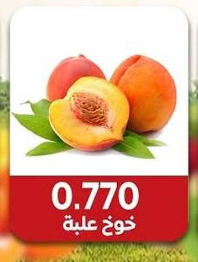 available at جمعية مدينة صباح الأحمد التعاونية in الكويت - مدينة الكويت