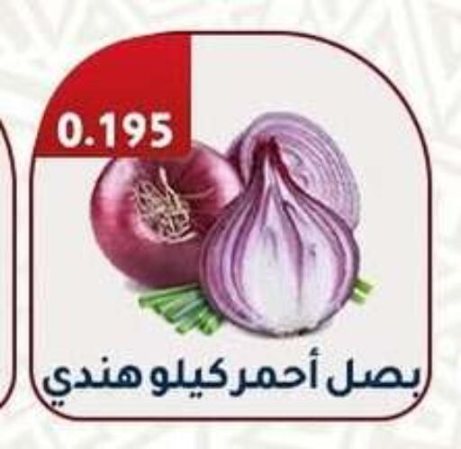 Onion available at Al Fahaheel Co - Op Society in Kuwait - Jahra Governorate