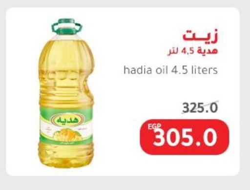 available at Elhakim market  in Egypt - Cairo