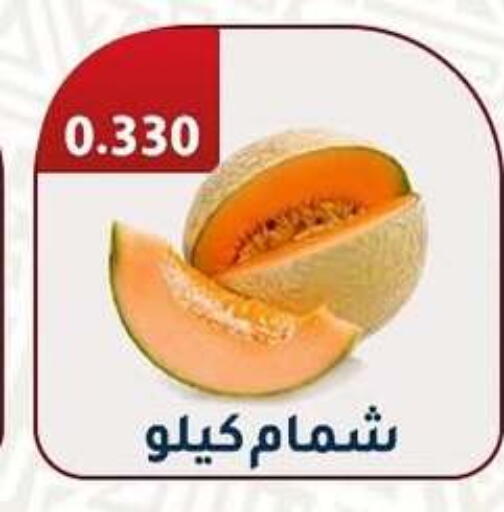 شمام available at جمعية فحيحيل التعاونية in الكويت - محافظة الجهراء