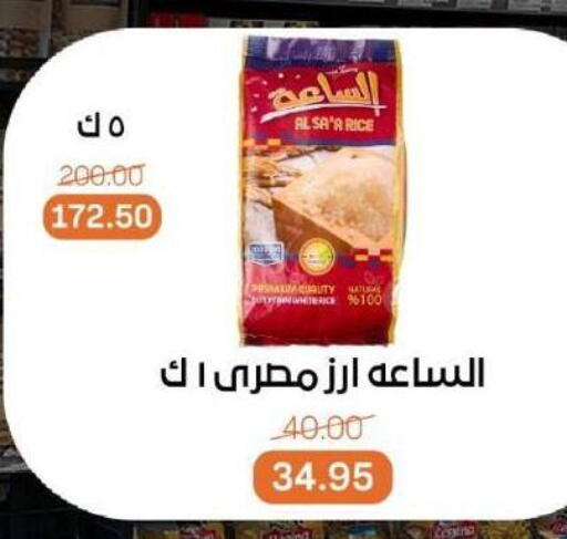 أرز كالروز available at بيت الجملة in Egypt - القاهرة