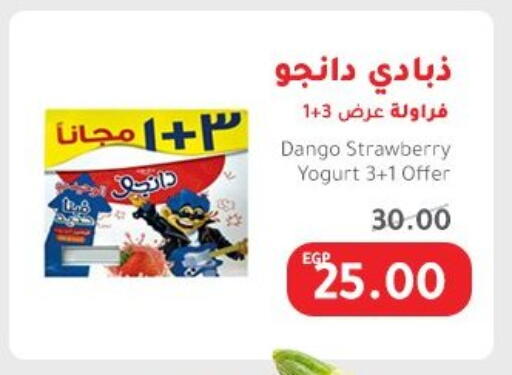 Cheese & Cream in Elhakim market , Egypt Offers - Egypt Strawberry available at Elhakim market in Egypt - Cairo