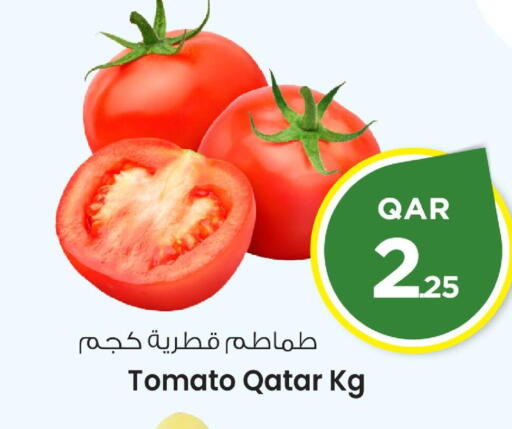 Fresh Vegetables in Mark & Save , Qatar Offers - Qatar Tomato from Qatar available at Mark & Save in Qatar - Al-Shahaniya