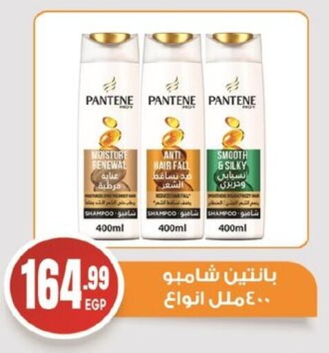 بنتين شامبو / بلسم available at أولاد المحاوى in Egypt - القاهرة