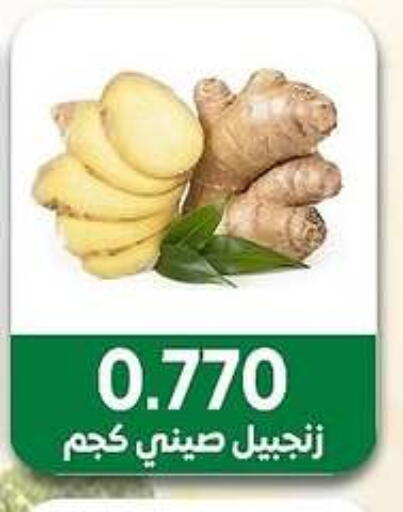 الخضروات الطازجة in جمعية مدينة صباح الأحمد التعاونية, الكويت Offers - الكويت available at جمعية مدينة صباح الأحمد التعاونية in الكويت - محافظة الجهراء